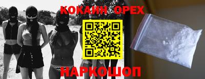 крисы Новокубанск