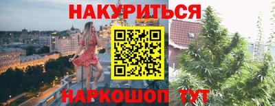 крисы Новокубанск